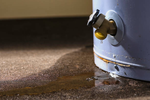 Best Water damage restoration near me  in Virginia, IL