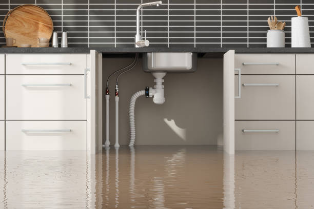 Reliable Virginia, IL Water damage restoration Solutions