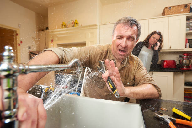 Best Professional water damage repair  in Virginia, IL
